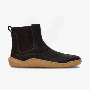 Vivobarefoot Gobi Chelsea Lifestyle Čevlji Ženski Črne | SI287LQ