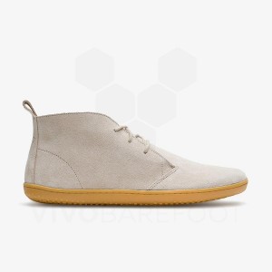 Vivobarefoot Gobi III Suede Lifestyle Čevlji Moški Bež | SI141BA