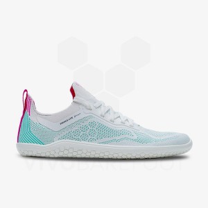 Vivobarefoot Primus Lite Knit Cestni Tekaški Copati Moški Modre | SI054KW