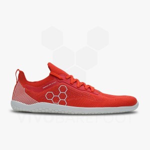 Vivobarefoot Primus Lite Knit Cestni Tekaški Copati Moški Rdeče | SI056IR