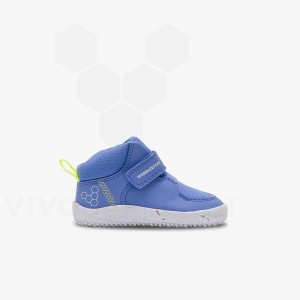 Vivobarefoot Primus Ludo Hi Toddlers Čevlji Otroški Modre | SI407VJ