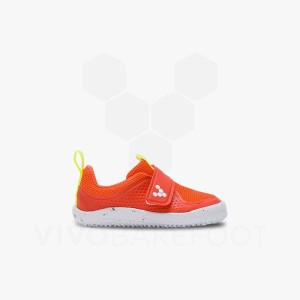 Vivobarefoot Primus Sport III Toddlers Čevlji Otroški Roza | SI371FU