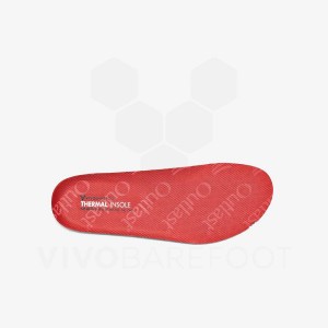 Vivobarefoot Thermal Insole Juniors Vložki Otroški Rdeče | SI438QC